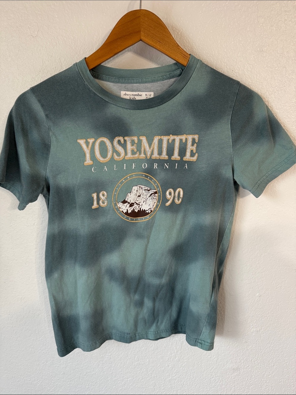 Abercrombie Kids Yosemite Tee